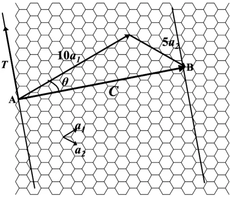 Fig. 1.2    Chiral vector. 