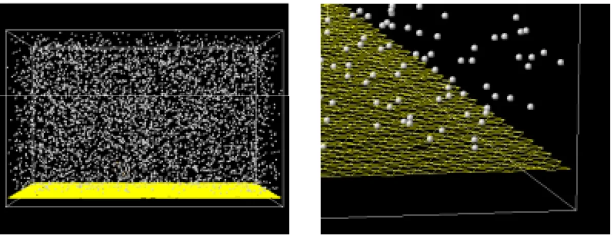 Fig. 2.1 Snapshots of argon between mirror and solid surface. 