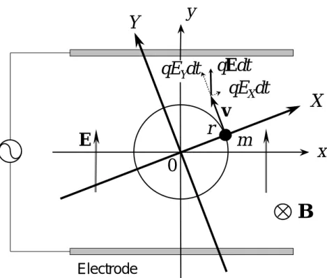 図 2.3 のような位置に励起電極があるとすると，大きさが同じで符号の異なる電圧をかけるこ とによりイオンに電場 EE EE をかけることができる．電場 EE EE は簡単のため一様であると仮定し，また 磁場 BB BB は xy 平面に垂直な方向にかかっているものとする．  ここで図 2.3 のようにイオンと共に回転する座標系をとる．イオンの回転運動の中心からイオ ンの現在の位置に X 軸を引き，これに直交して Y 軸を引く．つまり X - Y 座標はイオンの回転に固 定されている．イオンにかかる電場 E