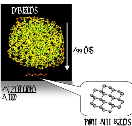 Fig. 2-11 Initial Condition for nuclei growth calculations. 