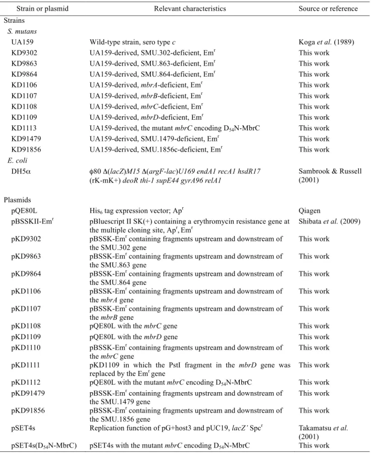 Table 1. Strains and plasmids used in this study 