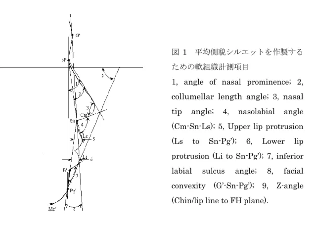 図 1  平均側貌シルエットを作製する