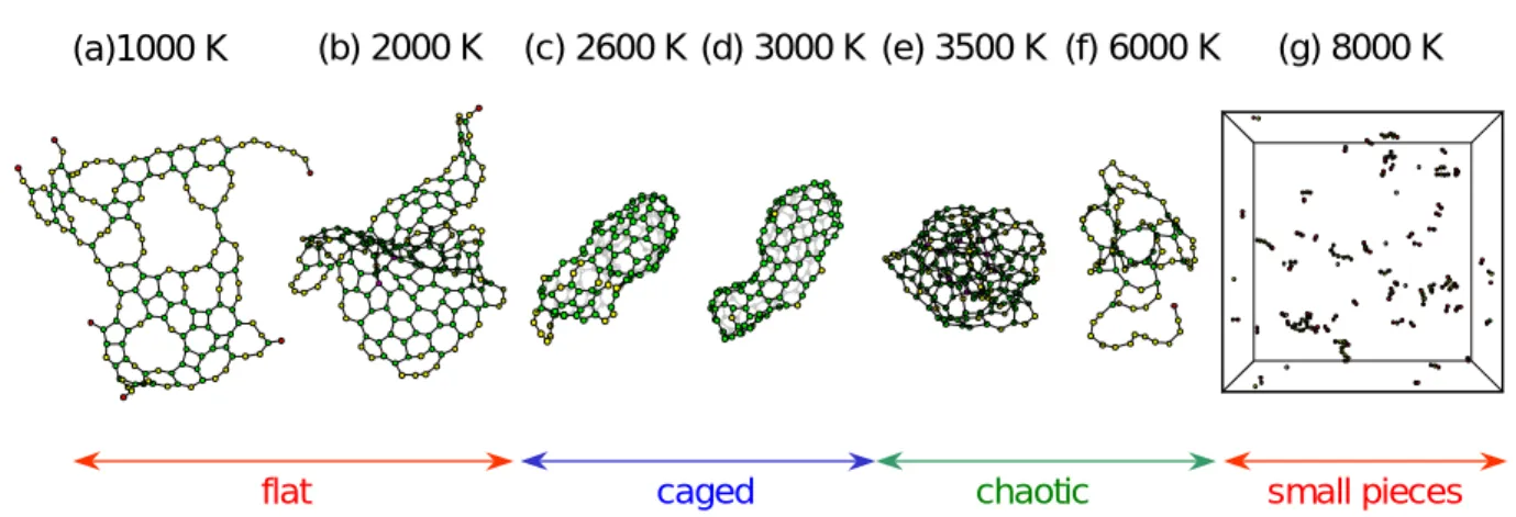 Fig. 2.20    Structures of typical clusters obtained under higher density condition.