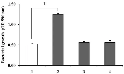 図  11    A. actinomycetemcomitans  の cell extracts （CEs）中のタンパク変性によ る P. gingivalis  増殖促進効果への影響 