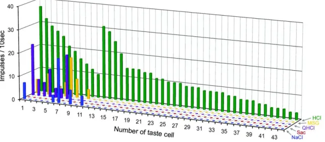 図 8 44 個の GAD67 発現細胞の 5 基本味に対する応答プロファイル。全ての細胞が