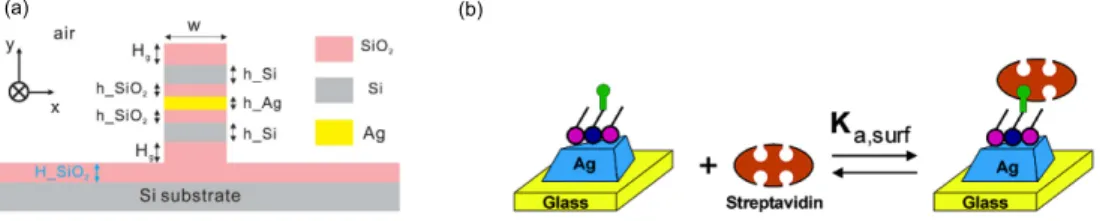 Figure 1.6 Plasmonic devices (a) Plasmonic waveguide [42] and (b) Plasmonic biosensor [43]