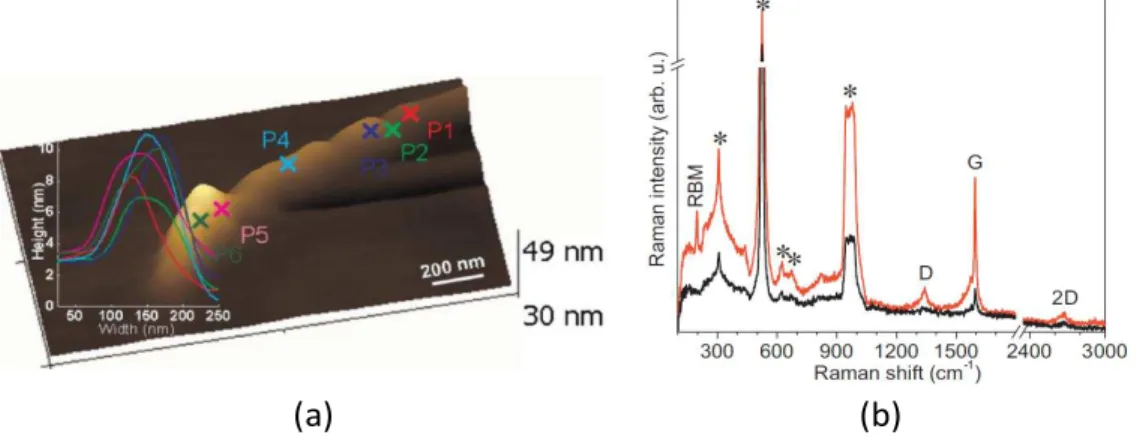 Figure 1-9: Tip-enhanced Raman intensity of a carbon nanotube bundle produced by HipCO method done by N
