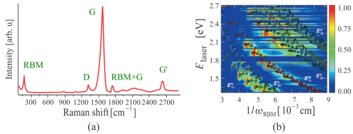 Figure 1-3: (a) Cartoon of a Raman spectrum of SWNTs for a given laser energy. (b) 2D Raman intensity map showing the SWNT RBM spectral evolution as a function of laser excitation energy [26]