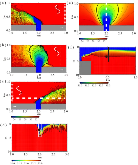 Figure 4.    Salinity distribution reproduced in the MITgcm. Plan views of sea surface salinity reproduced  in the model with tidal currents at (a) 25, (b) 28, and (c) 31 hours from the beginning of the computation  are shown in the left-hand panels