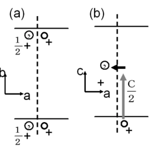 図 5.5: グライド 操作:図 (a) は ab 軸から見た c グライド 操作、図 (b) は ac 軸から 見た c グライド 操作 図 5.6: 対称操作 6 3 mmc 図 (a) 対称操作 6 3 、図 (b) 鏡映操作 mm を追加、図 (c)c グラインド を追加 7 に加えていった場合の対称空間群 P6 3 mmc の図である。 は鏡映操作によってで きた極点の重なりを表しており、 z 軸向の位置が 2 つ設定されているのはそのため である。