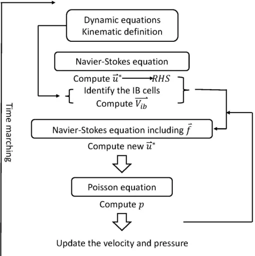 Figure 3.5: Schematic computational procedure including the IB and feedback  mechanism