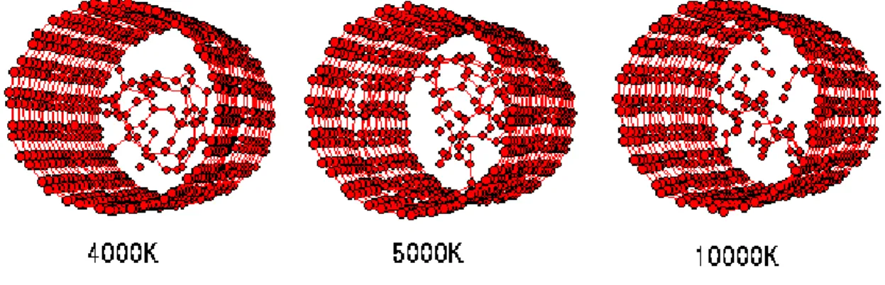 図 3.60 (10,10) チューブの温度入力時の変化 2 2 この結果 3,000K を過ぎると、内包 C 60 分子が破壊していく様子を見ることがで きた。この時、構造最適化のプロセスは 200 回 (500[fs]) で行なっているのだが、設定 温度 3,000K の場合最適化 40 回目 (100[fs]) を過ぎた頃から内包分子の破壊が始まっ た。図 3.61 に最適化時の回数と温度の変化グラフを示す。この図より、内包分子が崩 壊したとき急激に温度が上昇していることが分かった。図中 250[fs