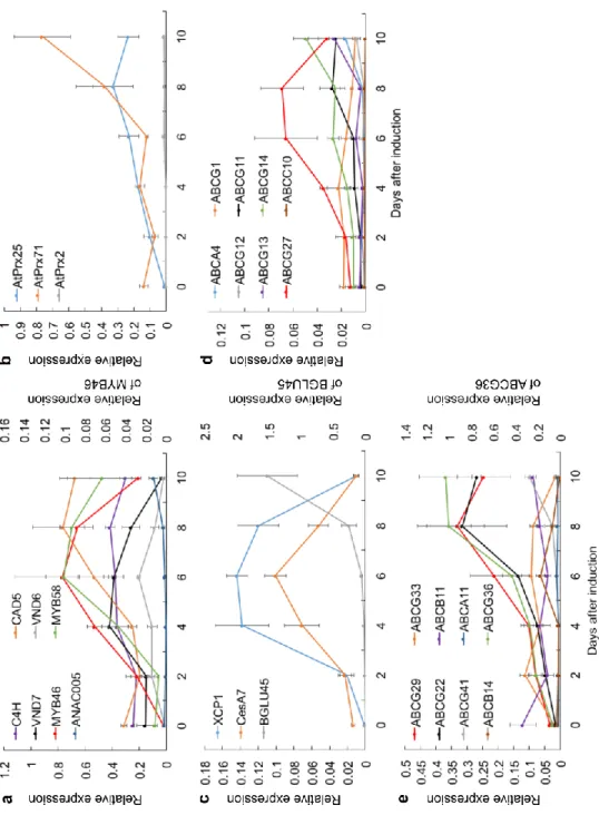 Fig. 2-3 Changes of the relative expression of reference genes and transporter genes  during TE formation