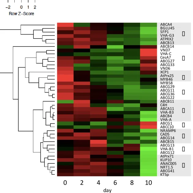 Fig. 2-5 Clustering of data from a time course of gene expression during TE induction