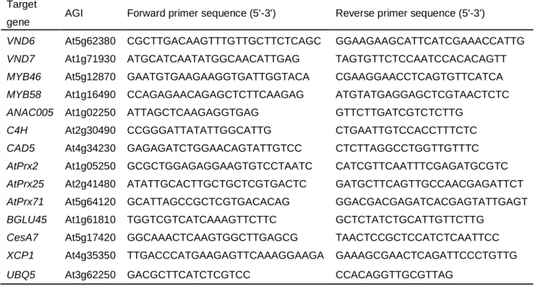 Table 2-3 Primers specific for reference genes related to lignin synthesis and secondary  wall formation analyzed by real-time PCR 