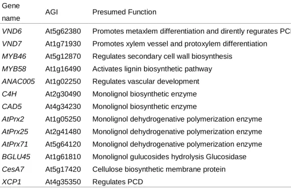 Table 2-5 Reference genes selected for expression analyses 