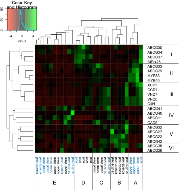 Fig. 3-1 Clustering of gene expression data for each analyzed plant organ. 