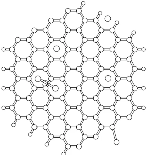 図 3.19:C 96 Li 7 H 16 (para) の最適化構造 19
