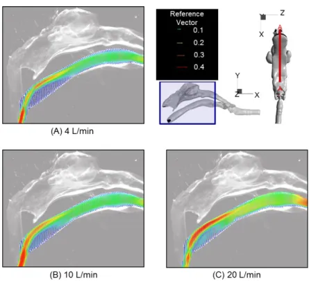 Figure 2.14  The velocity vector map obtained using PIV at cross-section of oral cavity 