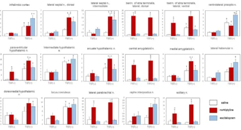 Fig. 1. The effects of nortriptyline, escitalopram, and the TST on c-Fos expression in the mouse brain.