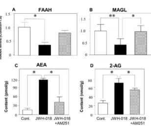 Fig. 3. Effect of JWH-018 and AM251 on the mRNA  expression of degradation enzymes (FAAH, MAGL)  for AEA and 2-AG (A, B), and the accumulation AEA  and 2-AG in the hippocampus of male mice  (C, D)