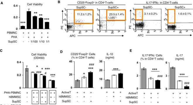 図 3-13. SupSC の in vitro 免疫調節能。 (A, C): SupSC のヒト PBMNC 増殖に対する 抑制効果。 PHA  (5  µ g/ml)で刺激活性化された PBMNC を異なる比率の SupSC A!00.20.41+!-!-!PBMNC!PHA !SupSC!+!+!-!+ !+ !1/100 !+ !+ !1/10 !+ !+ !1/1 !Cell Viability!**!**!***!***!SupSC+!SupSC-!APC!PE!