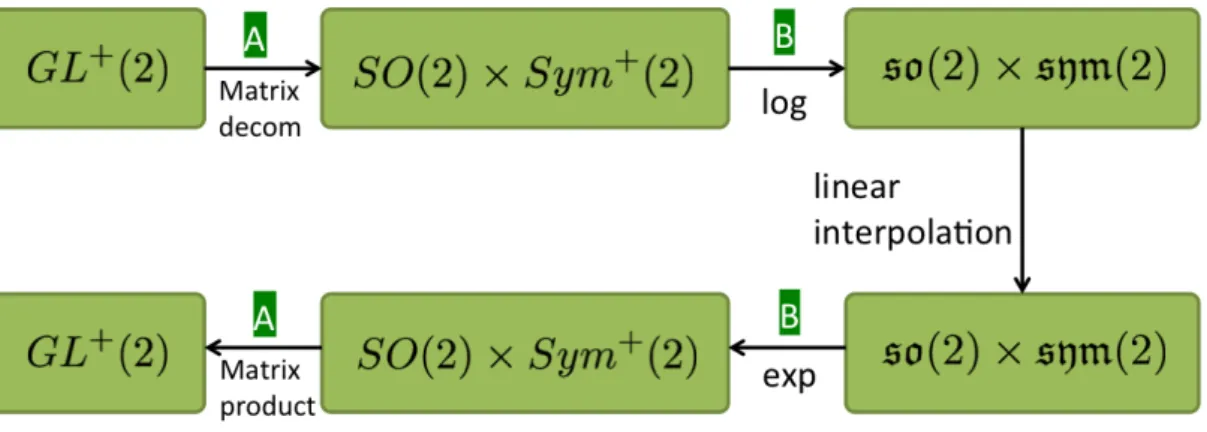 図 2: 2D Deformation via Log-Exp 補間による変形