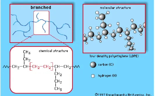 Figure II-1 LDPE structure 