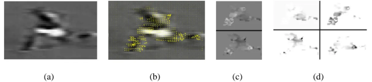 Figure 2.8: Optical flow split into directional components for action recognition [13]
