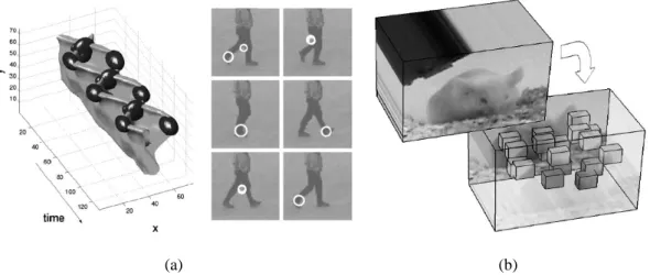 Figure 2.9: Local features. (a) Spatio-temporal interest points from the motion of the legs of a walking person [14]