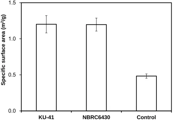 FIGURE 3-4 Specific surface area of corn stover pretreated and un-pretreated with G. 