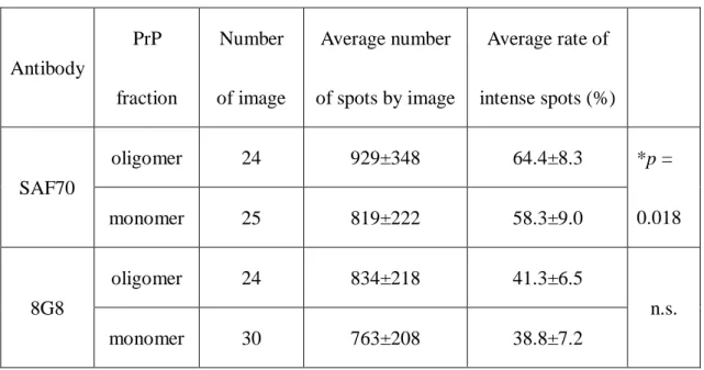 Table 1. Comparison of the detection rate of intense spots.  Antibody  PrP  fraction  Number   of image  Average number  of spots by image  Average rate of  intense spots (%)  SAF70  oligomer  24  929±348  64.4±8.3  *p =  0.018 monomer 25 819±222 58.3±9.0 