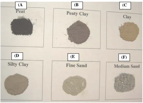 Figure 2.4 Photograph of the classified sediments: (A) Peat, (B) Peaty clay, (C)  Clay, (D) Silty clay, (E) Fine sand, and (F) Medium sand 