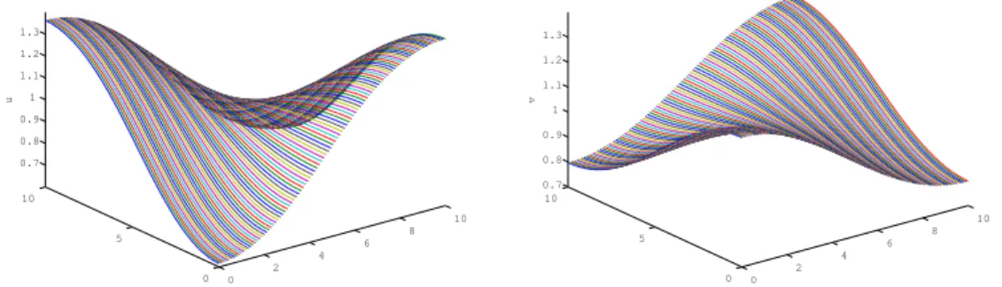 Figure 7.2: The approximate solutions of Example 1 which we got from Galerkin method. The left one is u h (T ) and the right one is v h (T ).