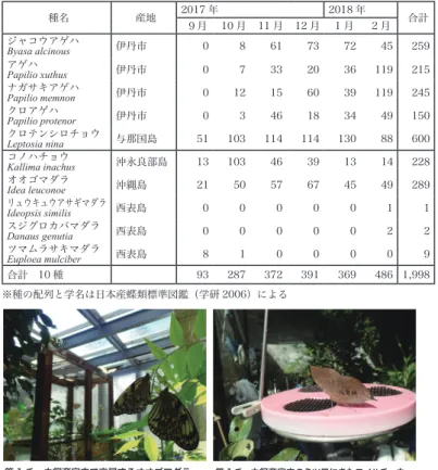 表 3 飼育用食草管理数 平成 29 年度（平成 30 年３月３１日現在） 科  名 種    名 桑  津 スカイパーク 昆虫館 総合計 食草とする昆虫 尺鉢 ｺﾝﾃﾅ 地植 合計 株数 養生 館内 屋外 合計 地植 鉢 鉢 地植 鉢 株数 株数 キョウチクトウ科 ホウライカガミ 140 140 2 2 4 144 オオゴマダラ ガガイモ科 リュウキュウガシワ 53 53 6 1 7 60 スジグロカバマダラ ツルモウリンカ 170 170 48 1 1 2 220 リュウキュウアサギマダラ、アサギマダラ