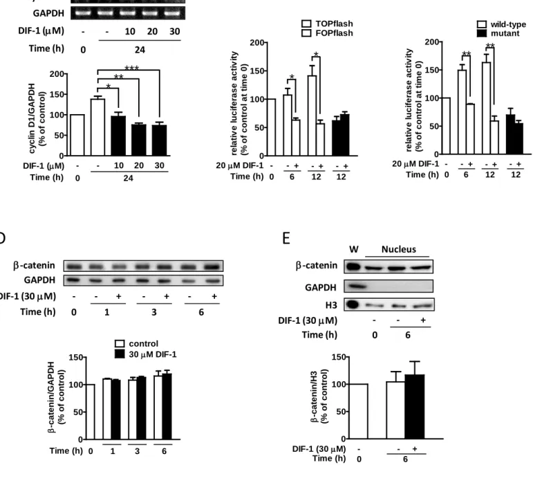 図 3 HCT-116 細胞における cyclin D1 mRNA 量に対する DIF-1 の効果