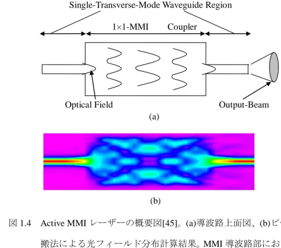 図 1.4  Active MMI レーザーの概要図[45]。(a)導波路上面図、(b)ビーム伝