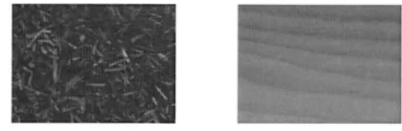 Fig. I. Texture from chips and wood