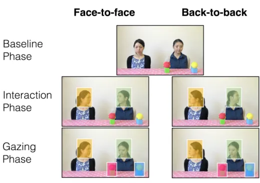 Figure  2.  Samples  of  the  experimental  stimuli  presented  in  the  face-to-face  and  back-to-back conditions across the three phases