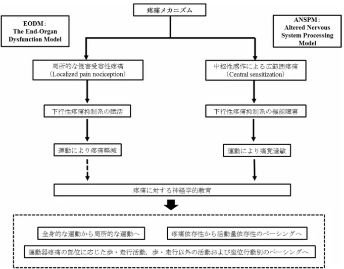 図 6.  主要な疼痛メカニズムに応じた運動 / 身体活動プログラム さらに運動器慢性疼痛者の身体活動は極端な過負荷や不活動などペーシングに問題がある ことが指摘されているため 148) ，疼痛の程度に左右された身体活動プログラムでは患者の生物 医学的な信念を強化するだけになる．そのため， ANSPM モデルを背景とした運動器慢性疼痛 者に対する身体活動プログラムでは，客観的に評価された身体活動量により管理される必要 があるのではないかと考える．本研究の結果は，今後，高齢者の運動器慢性疼痛に対する疼 痛メカ