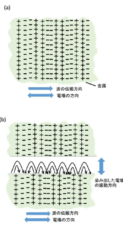 Figure  1-1  (a)  バルクプラズモン伝搬方向と電場の振動方向.  (b)  金属表面に おける表面プラズモンの電場の染み出し. 