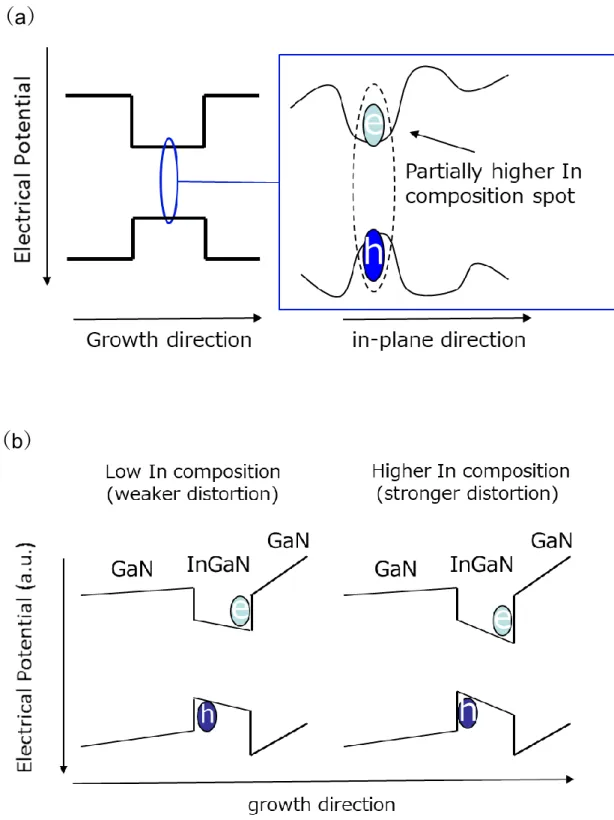 Figure 2-1 (a) InGaN/GaN 系量子井戸の発光層における  局所的高 In 部位による