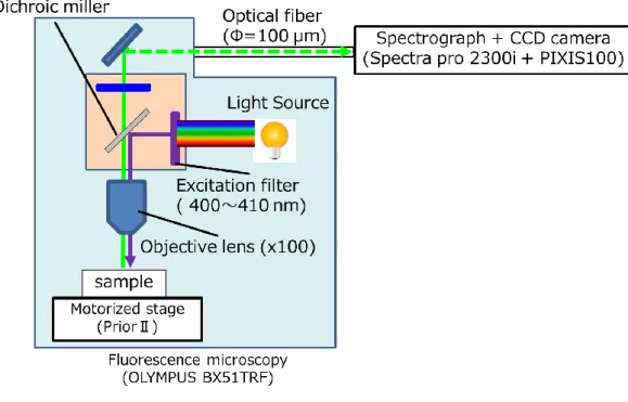 Figure 2-3  本章で用いた PL マッピング測定系の模式図 
