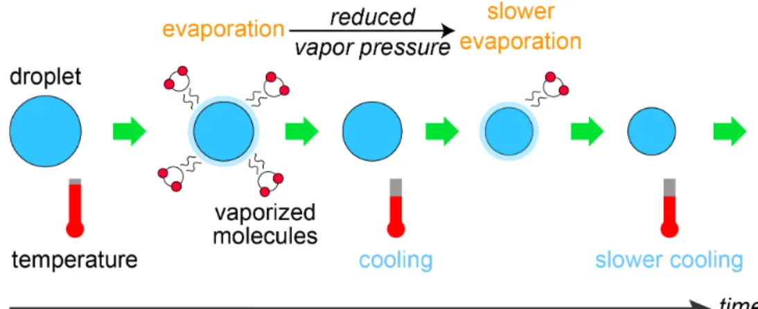Figure 1-1    The evaporative cooling model involves two interacting  processes, i.e., evaporation and cooling