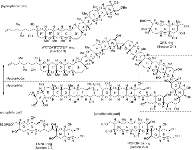 Figure 1-5-2. Designed compounds for evaluation of biological activity. 