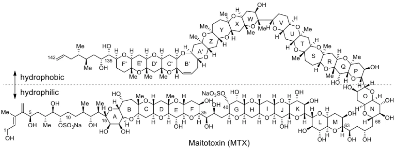 Figure 1-1-1. Structure of maitotoxin (MTX). 