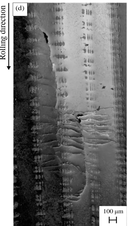 Fig. I-2-3 Close up images of inner raceway under 186.2N load in water:   