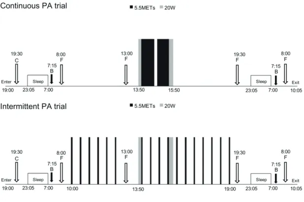 Figure 1. Protocols in the continuous PA and the intermittent PA trials in the chamber