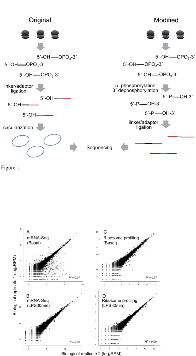 Figure 1.  5´-OH OPO 3 -3´5´-OHOPO3-3´5´-OHOPO3-3´linker/adaptor  ligation5´-OH5´-OH5´-OHOriginalcircularization  5´-OH OPO 3 -3´5´-OHOPO3-3´5´-OHOPO3-3´5´ phosphorylation 3´ dephosphorylationModified5´-POH-3´5´-POH-3´5´-POH-3´linker/adaptor  ligationSeque