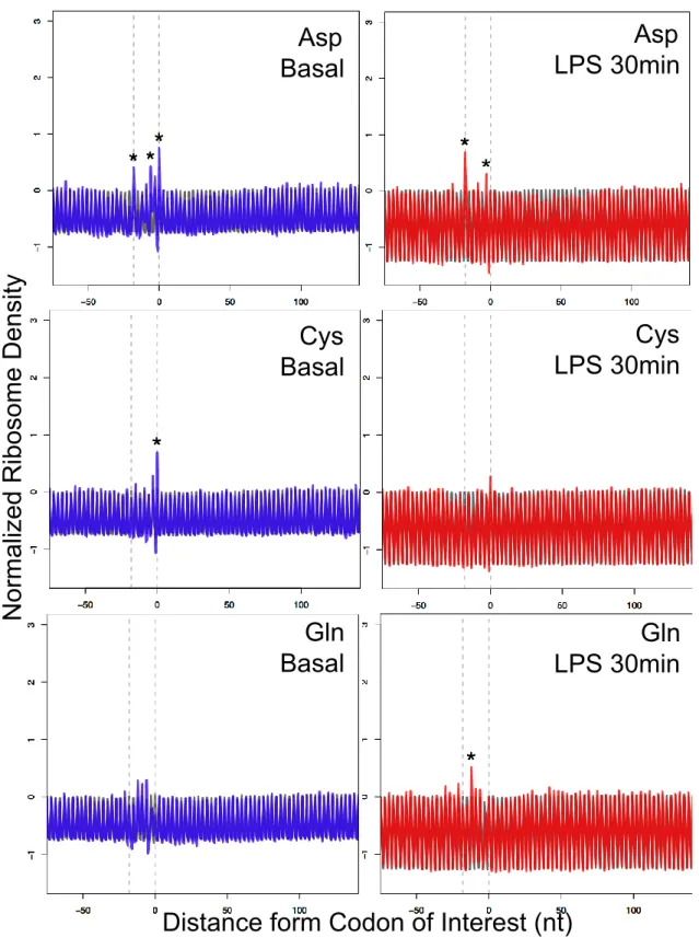 Figure 24.  Asp Basal Cys Basal Gln Basal Asp LPS 30min Cys LPS 30min Gln LPS 30min